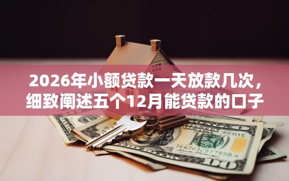 2026年小额贷款一天放款几次，细致阐述五个12月能贷款的口子