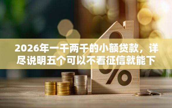 2026年一千两千的小额贷款,详尽说明五个可以不看征信就能下款的口子 2026年一千两千的小额贷款,详尽说明五个可以不看征信就能下款的口子