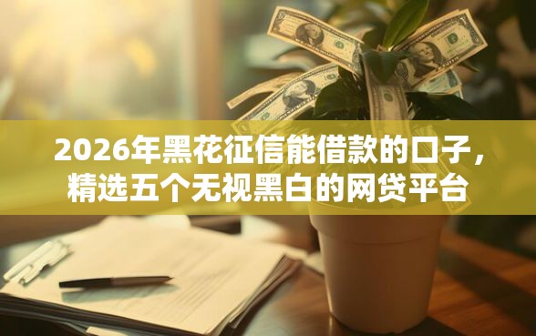 2026年黑花征信能借款的口子，精选五个无视黑白的网贷平台