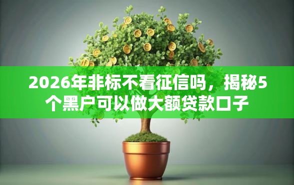 2026年非标不看征信吗，揭秘5个黑户可以做大额贷款口子