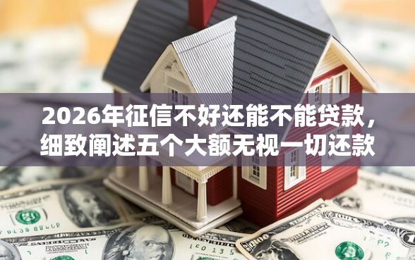 2026年征信不好还能不能贷款，细致阐述五个大额无视一切还款的平台