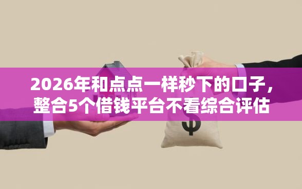 2026年和点点一样秒下的口子，整合5个借钱平台不看综合评估的软件