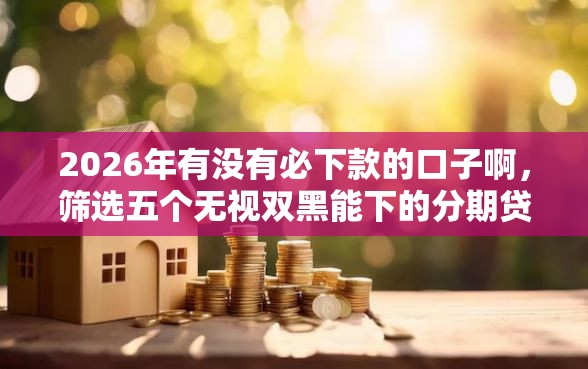 2026年有没有必下款的口子啊，筛选五个无视双黑能下的分期贷