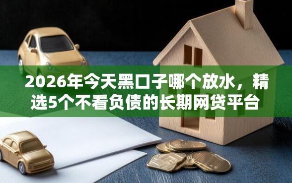 2026年今天黑口子哪个放水，精选5个不看负债的长期网贷平台