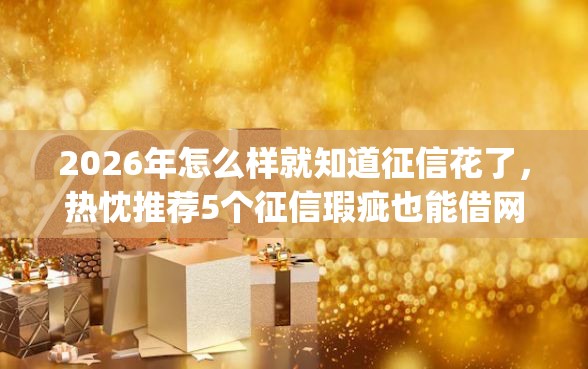 2026年怎么样就知道征信花了，热忱推荐5个征信瑕疵也能借网贷轻松下款的app