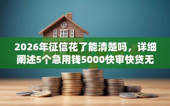 2026年征信花了能清楚吗，详细阐述5个急用钱5000快审快贷无需征信app