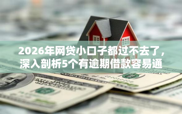 2026年网贷小口子都过不去了,深入剖析5个有逾期借款容易通过的口子 2026年网贷小口子都过不去了,深入剖析5个有逾期借款容易通过的口子