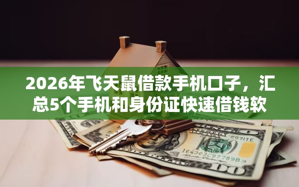 2026年飞天鼠借款手机口子，汇总5个手机和身份证快速借钱软件
