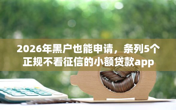 2026年黑户也能申请，条列5个正规不看征信的小额贷款app