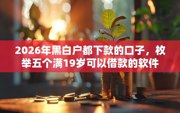 2026年黑白户都下款的口子,枚举五个满19岁可以借款的软件 2026年黑白户都下款的口子,枚举五个满19岁可以借款的软件