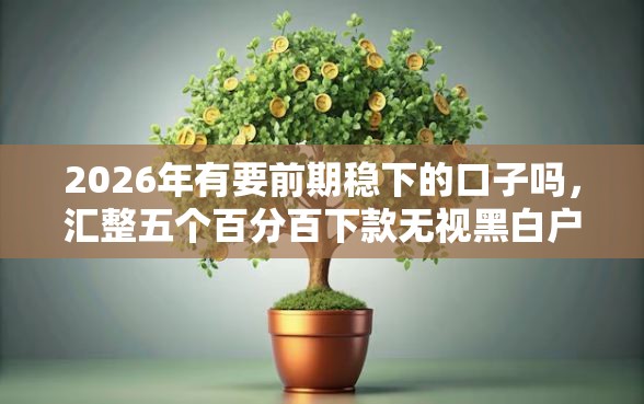 2026年有要前期稳下的口子吗，汇整五个百分百下款无视黑白户口子