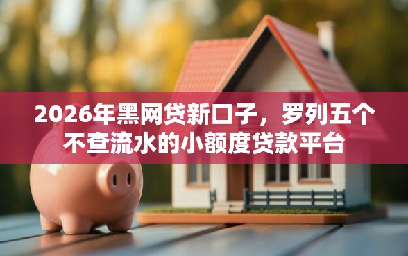 2026年黑网贷新口子，罗列五个不查流水的小额度贷款平台