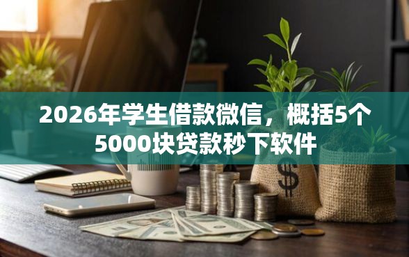 2026年学生借款微信，概括5个5000块贷款秒下软件