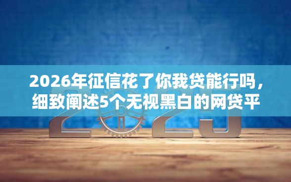 2026年征信花了你我贷能行吗，细致阐述5个无视黑白的网贷平台