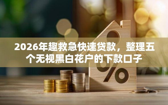 2026年趣救急快速贷款，整理五个无视黑白花户的下款口子