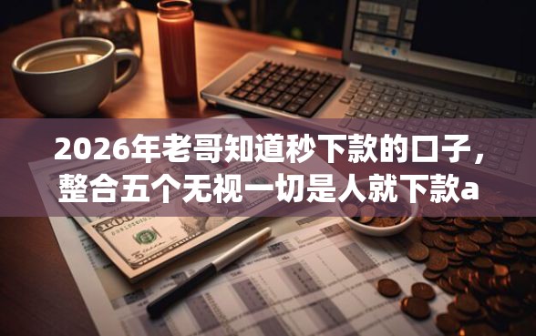 2026年老哥知道秒下款的口子，整合五个无视一切是人就下款app