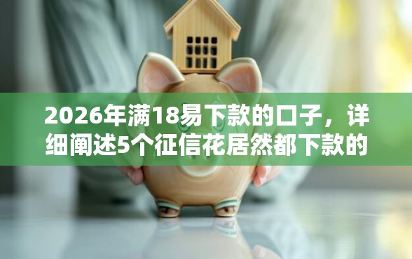 2026年满18易下款的口子，详细阐述5个征信花居然都下款的口子