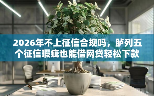 2026年不上征信合规吗，胪列五个征信瑕疵也能借网贷轻松下款的口子
