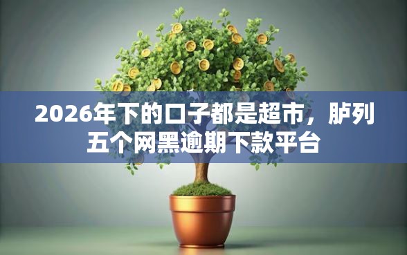 2026年下的口子都是超市，胪列五个网黑逾期下款平台