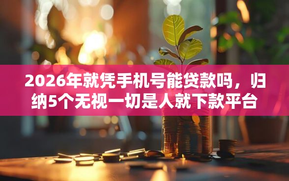 2026年就凭手机号能贷款吗，归纳5个无视一切是人就下款平台