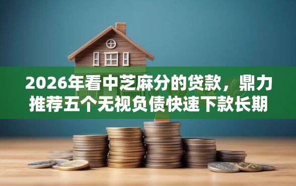 2026年看中芝麻分的贷款，鼎力推荐五个无视负债快速下款长期网贷的平台
