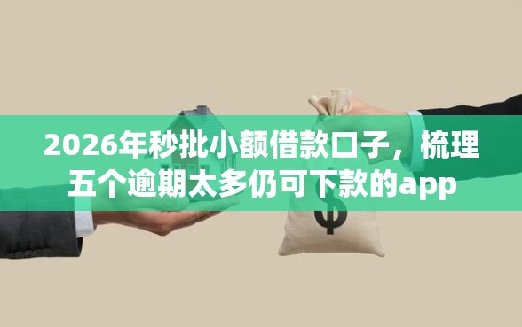 2026年秒批小额借款口子，梳理五个逾期太多仍可下款的app