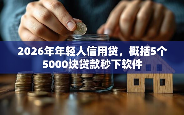 2026年年轻人信用贷，概括5个5000块贷款秒下软件