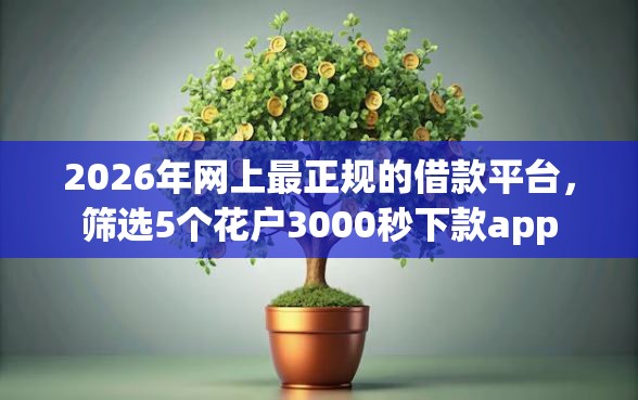 2026年网上最正规的借款平台，筛选5个花户3000秒下款app