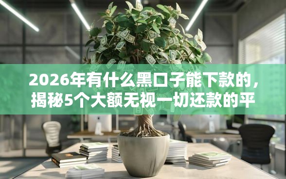 2026年有什么黑口子能下款的，揭秘5个大额无视一切还款的平台