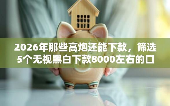 2026年那些高炮还能下款，筛选5个无视黑白下款8000左右的口子
