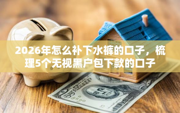 2026年怎么补下水裤的口子，梳理5个无视黑户包下款的口子