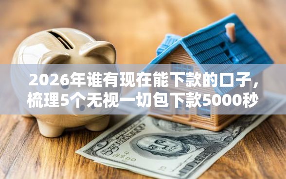 2026年谁有现在能下款的口子，梳理5个无视一切包下款5000秒下款的软件