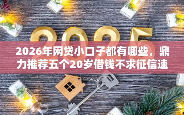 2026年网贷小口子都有哪些，鼎力推荐五个20岁借钱不求征信速借口子