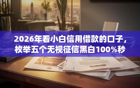 2026年看小白信用借款的口子，枚举五个无视征信黑白100%秒下网贷app