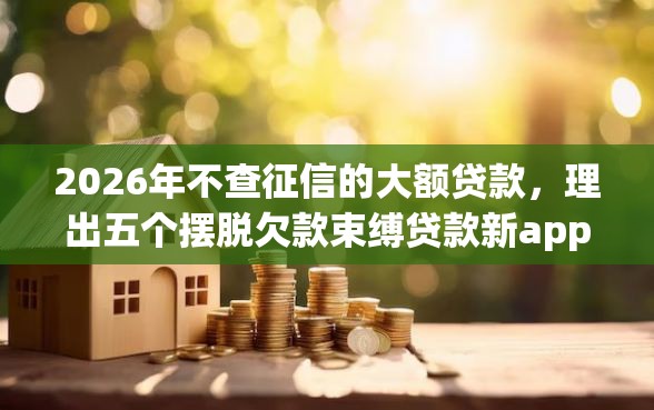 2026年不查征信的大额贷款，理出五个摆脱欠款束缚贷款新app