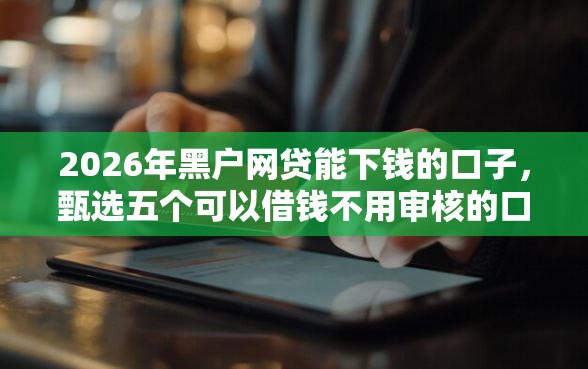 2026年黑户网贷能下钱的口子，甄选五个可以借钱不用审核的口子