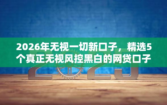 2026年无视一切新口子，精选5个真正无视风控黑白的网贷口子