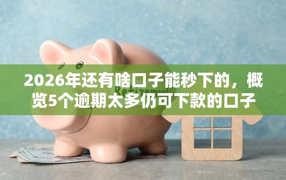 2026年还有啥口子能秒下的，概览5个逾期太多仍可下款的口子