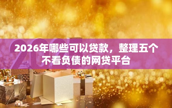 2026年哪些可以贷款，整理五个不看负债的网贷平台
