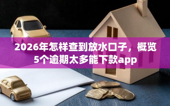 2026年怎样查到放水口子，概览5个逾期太多能下款app