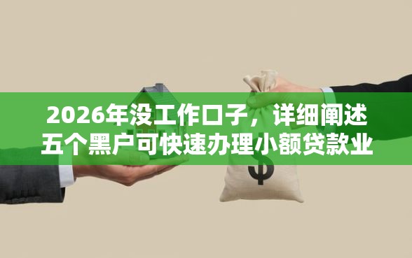 2026年没工作口子，详细阐述五个黑户可快速办理小额贷款业务的平台