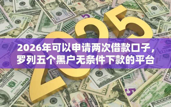 2026年可以申请两次借款口子，罗列五个黑户无条件下款的平台