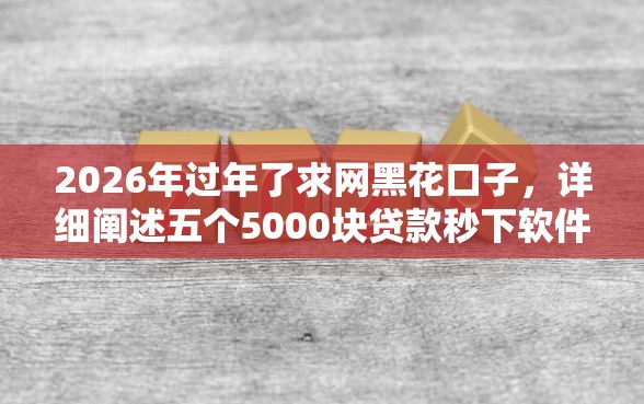 2026年过年了求网黑花口子，详细阐述五个5000块贷款秒下软件