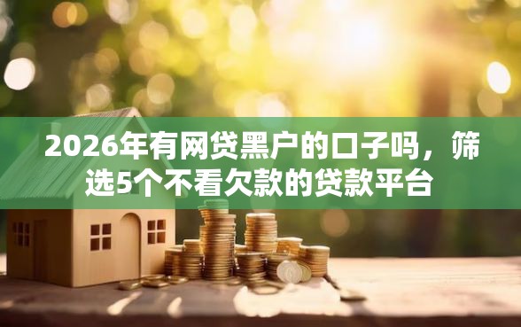 2026年有网贷黑户的口子吗，筛选5个不看欠款的贷款平台