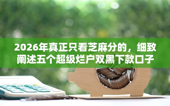 2026年真正只看芝麻分的，细致阐述五个超级烂户双黑下款口子