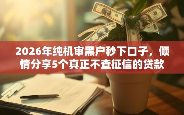 2026年纯机审黑户秒下口子，倾情分享5个真正不查征信的贷款口子