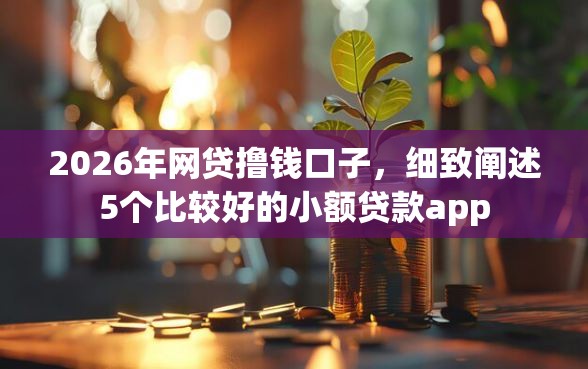 2026年网贷撸钱口子，细致阐述5个比较好的小额贷款app