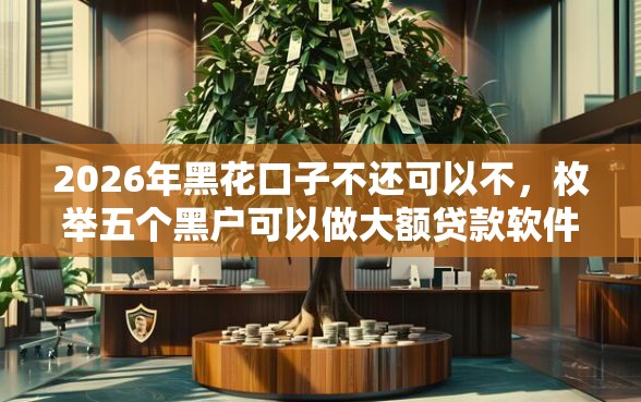 2026年黑花口子不还可以不，枚举五个黑户可以做大额贷款软件