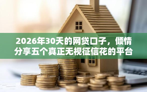 2026年30天的网贷口子，倾情分享五个真正无视征信花的平台