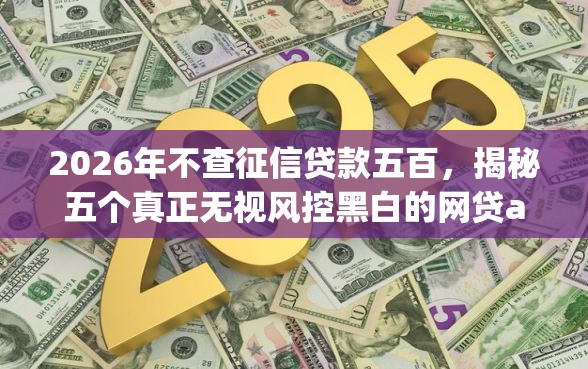 2026年不查征信贷款五百，揭秘五个真正无视风控黑白的网贷app